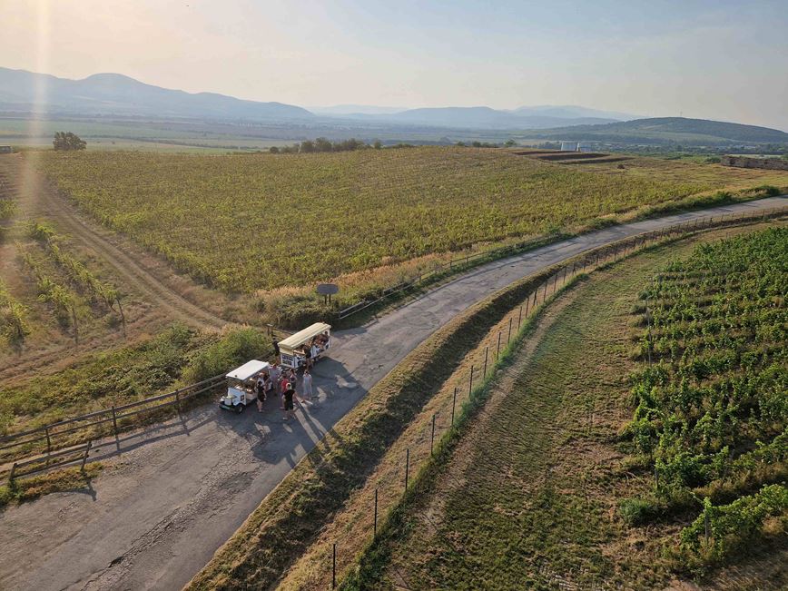 tokajské vinice na Slovensku Velká a Malá Trňa